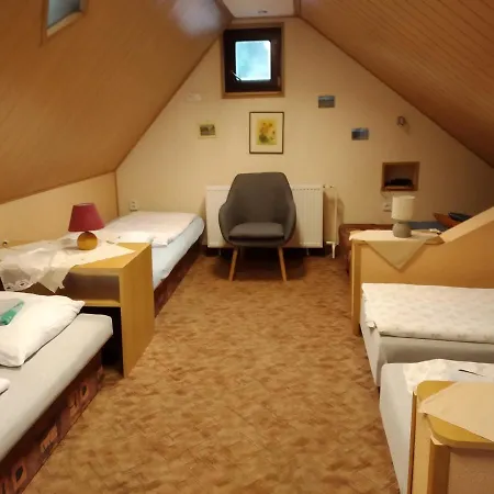 Guest house Ubytovani Riegel Svoboda nad Upou